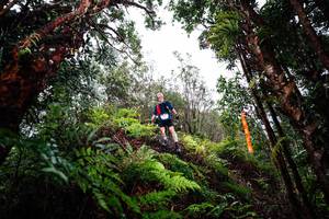 BIB: 
                            <button type="button" onclick="openModal(26205189)" class="btn btn-primary btn-sm float-right btn-popup" data-toggle="modal" data-target=".modal-high-quality">
                        <i class="fas fa-shopping-cart"></i> Add to Cart
                    </button>
                                            <button type="button" onclick="isThisMe(26205189, true)" class="btn btn-success btn-sm float-right btn-popup btn-isme hidden" data-toggle="tooltip" data-placement="bottom" title="นี่คือรูปของคุณใช่ไหม คลิกที่นี่เพื่อเอาเข้าอัลบั้ม">
                        <i class="fas fa-plus"></i> Add to album
                    </button>
                    <button type="button" onclick="isThisMe(26205189, false)" class="btn btn-warning btn-sm float-right btn-popup btn-isnotme hidden">
                        <i class="fas fa-ban"></i> Remove from album
                    </button>